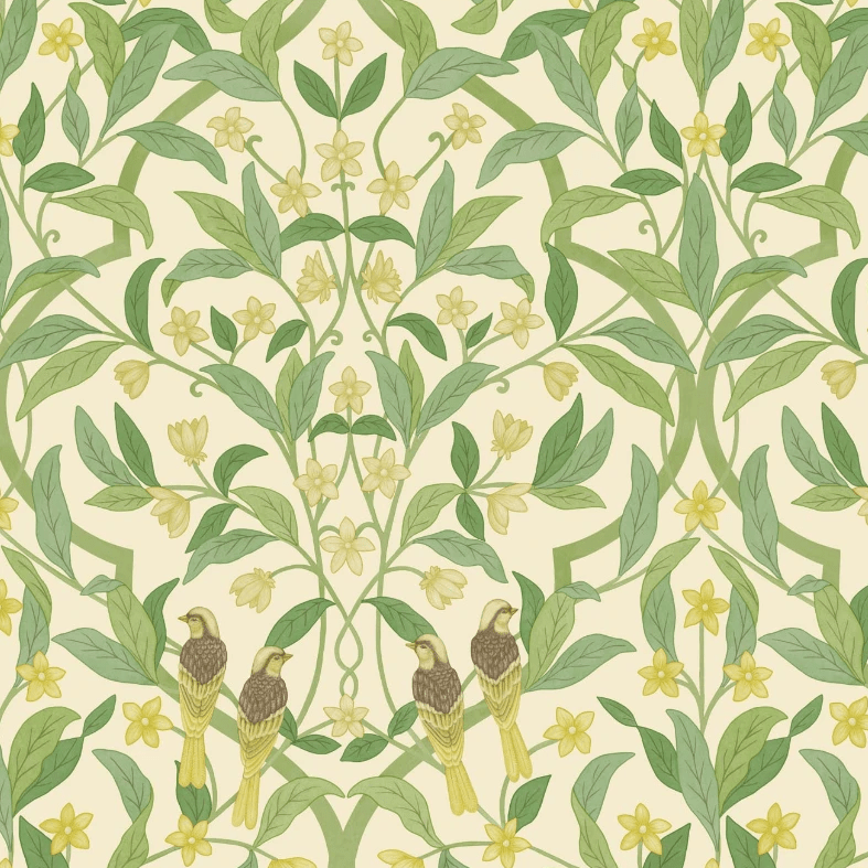 Cole & Son Wallpaper 1 x 117/10031 Jasmine & Serin Symphony Wallpaper Roll Cole and Son Seville