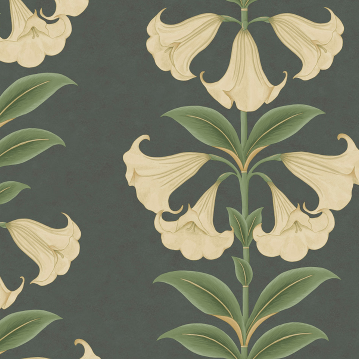 Cole & Son Wallpaper 1 x 117/3006 Angel's Trumpet Wallpaper Roll Cole and Son Seville Angel's Trumpet Wallpaper 4 colours