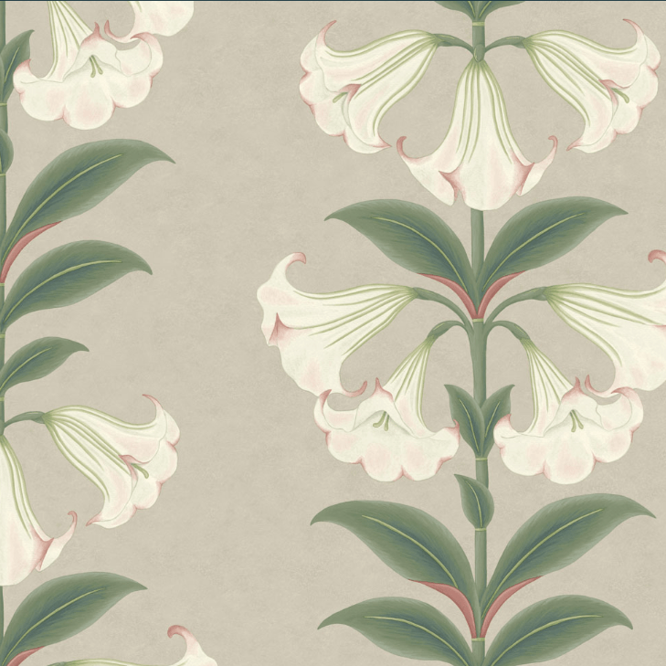 Cole & Son Wallpaper 1 x 117/3007 Angel's Trumpet Wallpaper Roll Cole and Son Seville Angel's Trumpet Wallpaper 4 colours