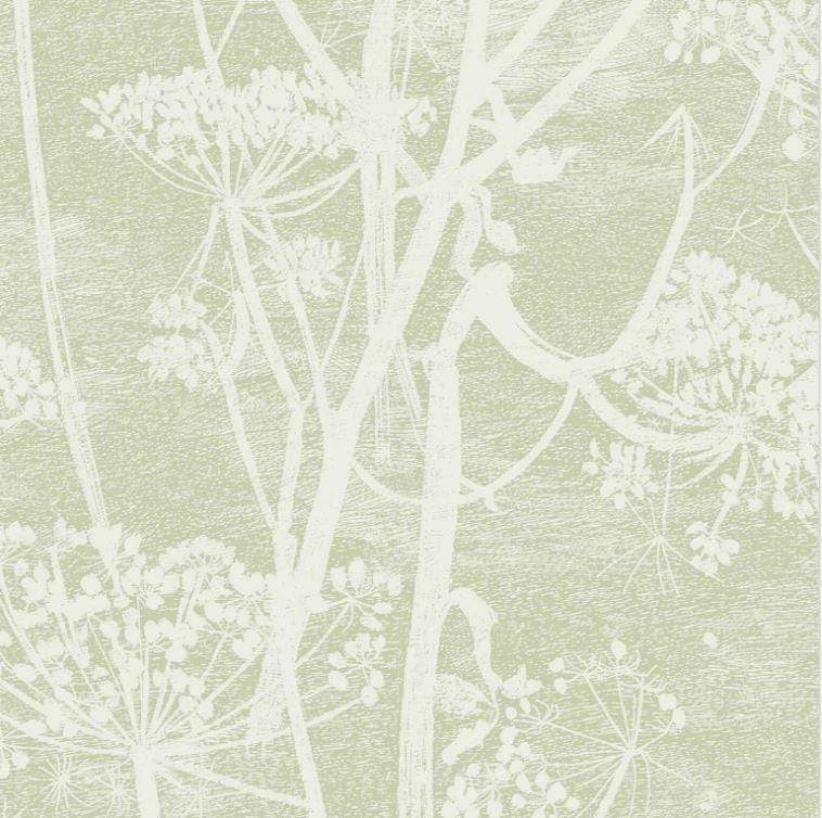 Cole & Son Wallpaper 1 x Roll Cow Parsley 112/8029 Wallpaper Cole & Son Icons Cow Parsley Wallpaper