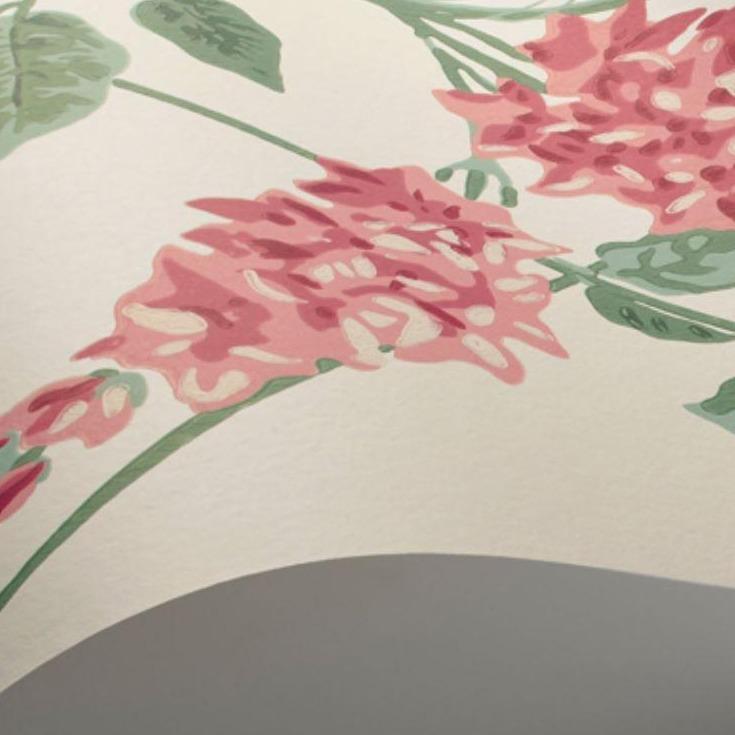 Cole & Son Wallpaper Cole and Son Botanical Botanica Wisteria Wallpaper 5 colours