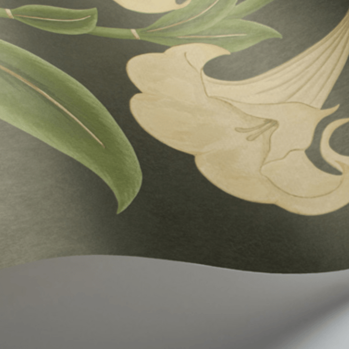 Cole & Son Wallpaper Cole and Son Seville Angel's Trumpet Wallpaper 4 colours