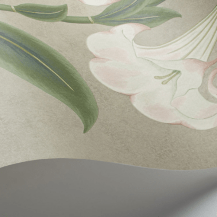 Cole & Son Wallpaper Cole and Son Seville Angel's Trumpet Wallpaper 4 colours