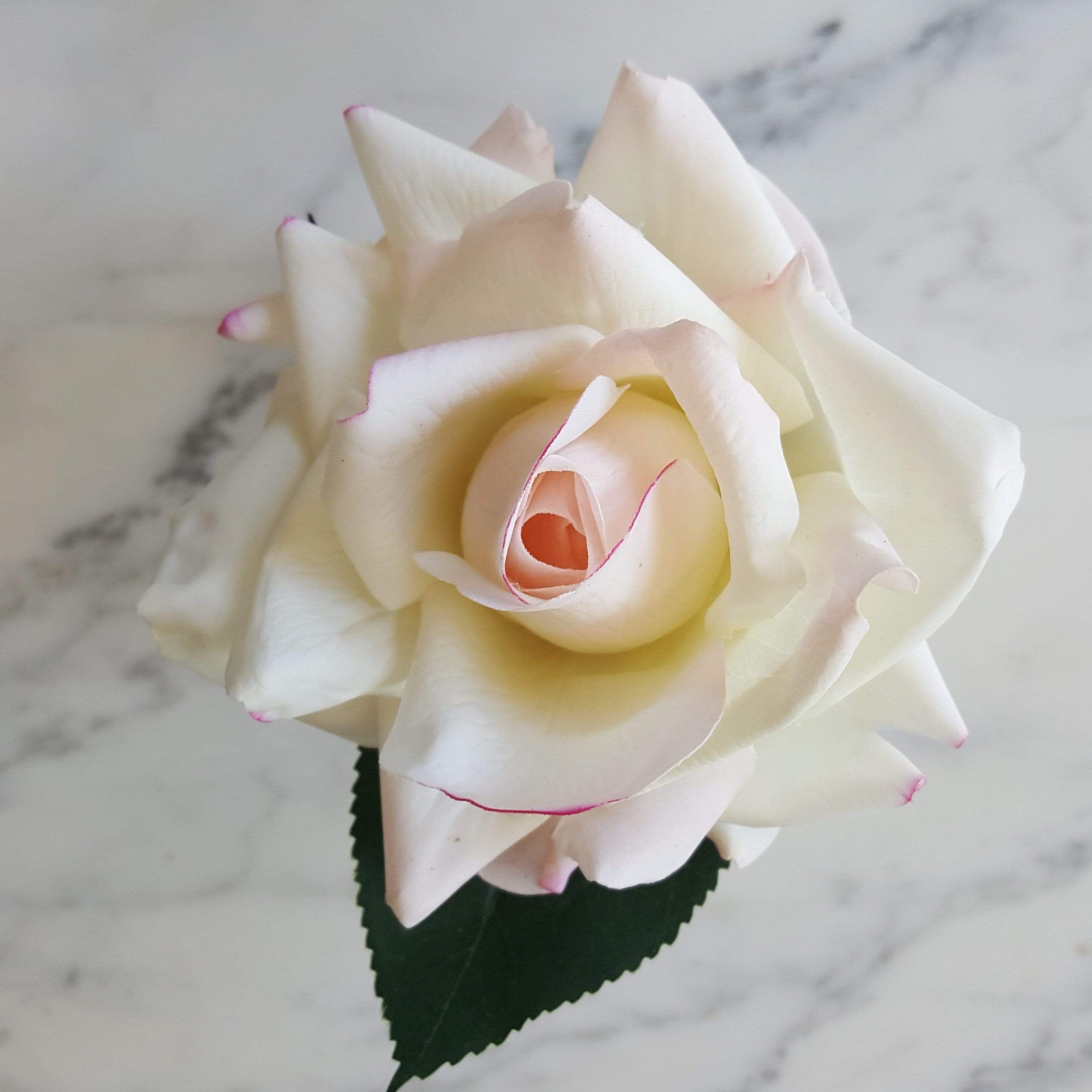 COTE NOIRE Scented Flower Cote Noire Single Perfumed Rose Blush Clear Vase