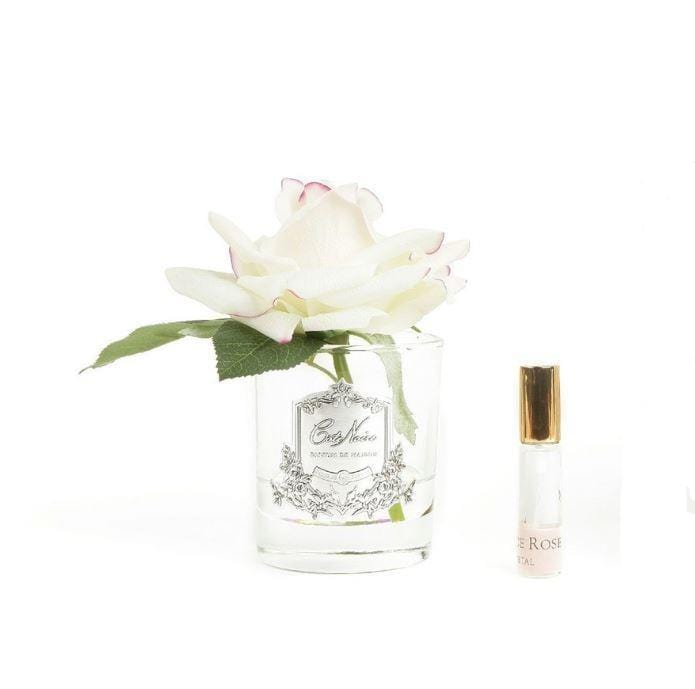 COTE NOIRE Scented Flower Cote Noire Single Perfumed Rose Blush Clear Vase