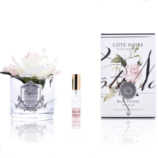 Cote Noire Single Perfumed Rose Blush Clear Vase - Gaudion Furniture
