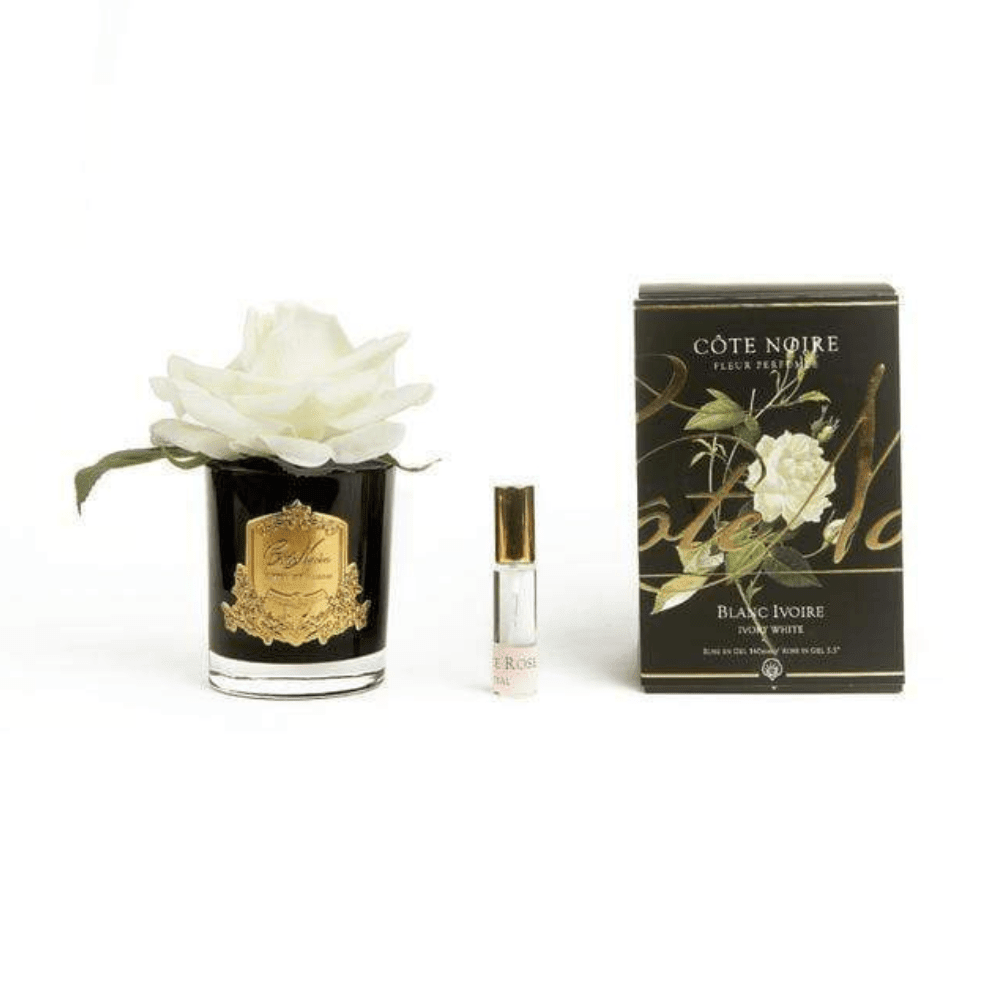 Cote Noire Single Perfumed Rose Ivory in Black Vase - Gaudion Furniture