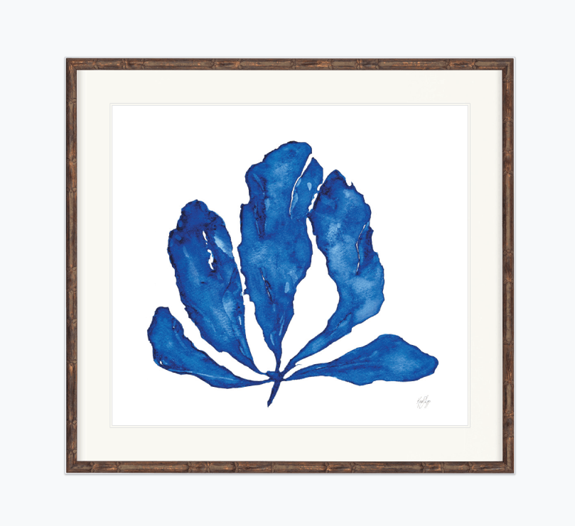 Designer Boys Artwork 1 x Coral Print 2 Bamboo Brown Frame Coral Prints - 3 Designs to choice from