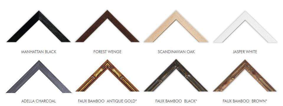 Designer Boys Collections Artwork Coral Prints - 3 Designs to choice from