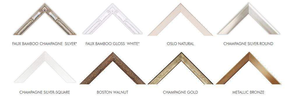 Designer Boys Collections Artwork Coral Prints - 3 Designs to choice from