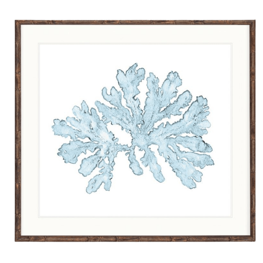 Designer Boys Collections Artwork Designe Boys Pale Boy Coral 1 Print