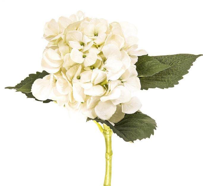 Gaudion Furniture Artificial Flowers 1 x Cream Hydrangea Hydrangea Cream