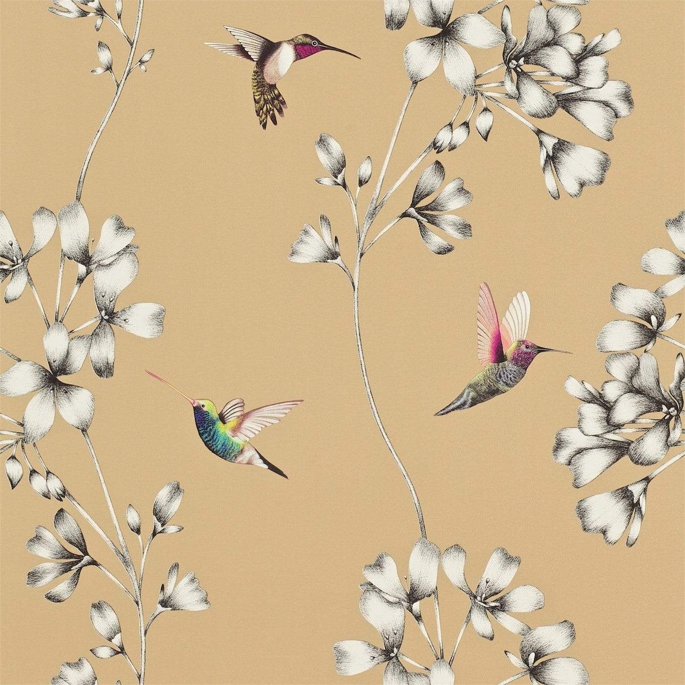 Amazilia Bronze Wallpaper Harlequin Amazilia Wallpaper 6 colours