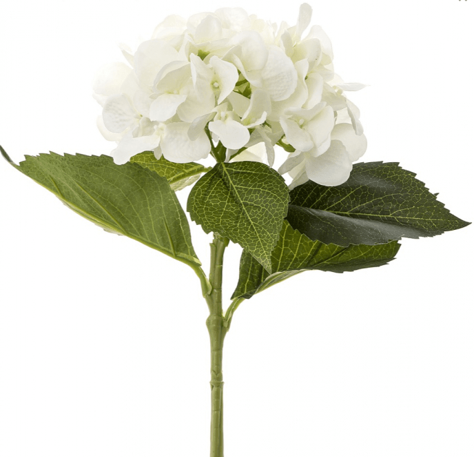 Hydrangea White - Gaudion Furniture