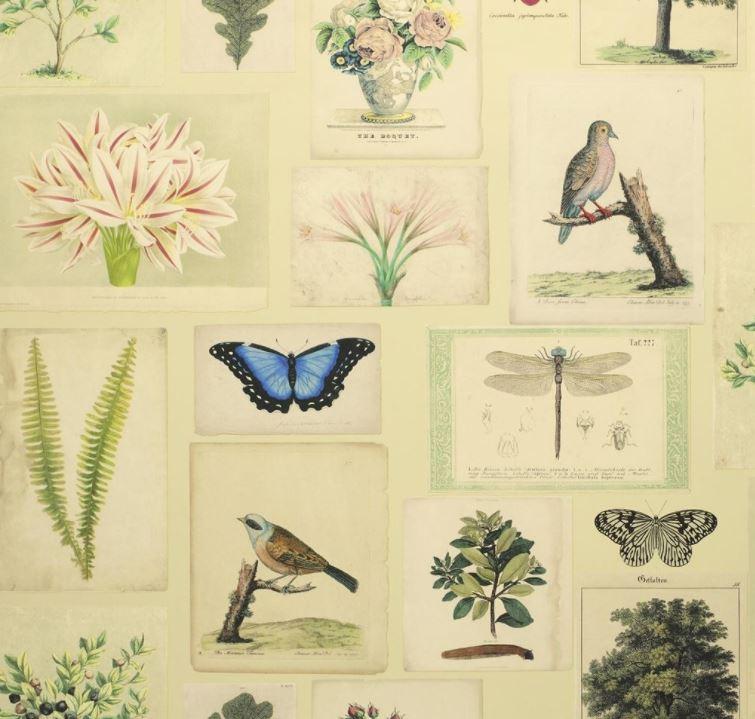 Wallpaper Roll John Derian Flora & Fauna Canvas Wallpaper - 3 Colours