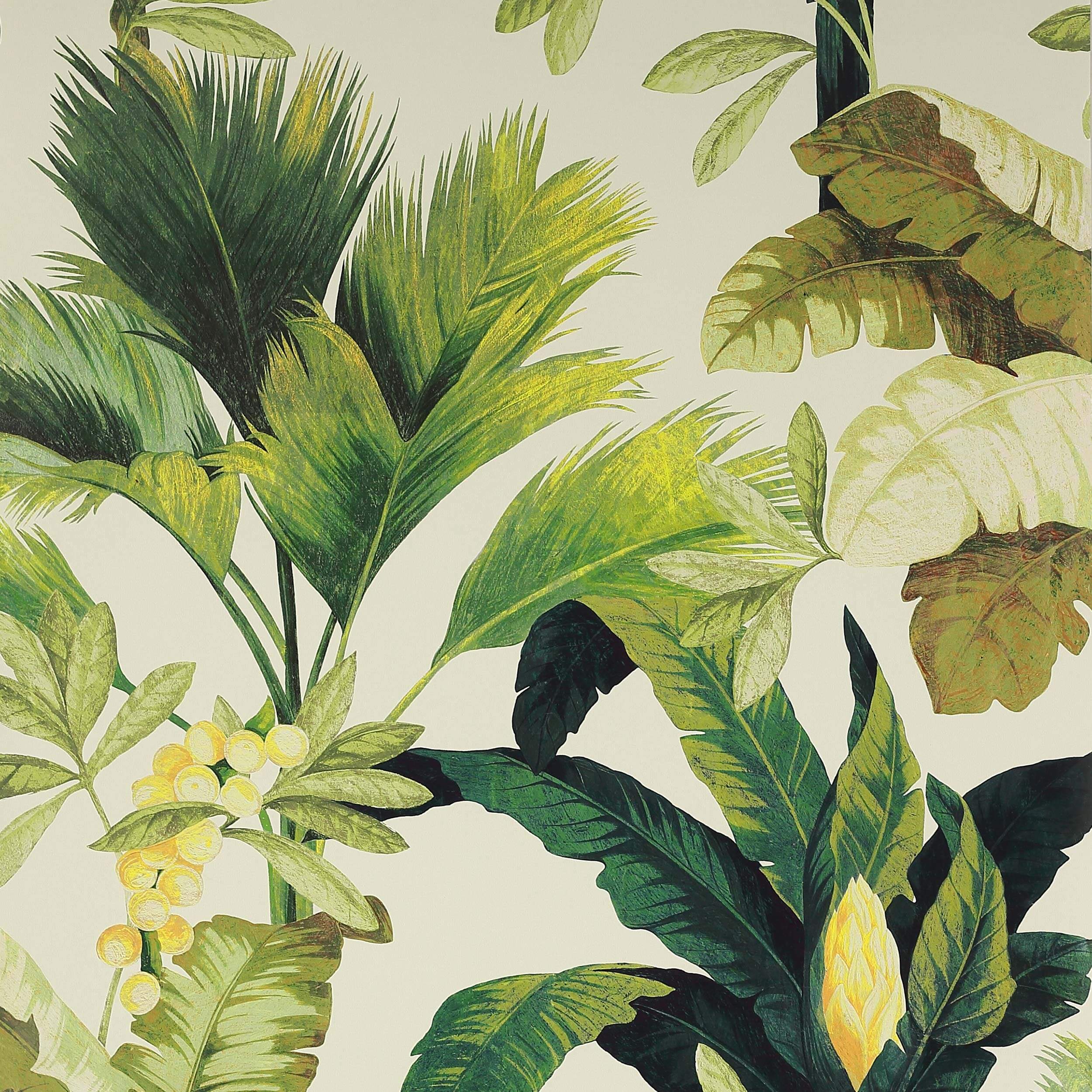 Manuel Canovas Wallpaper 1 x Kaki Salengro Wallpaper Roll Manuel Canovas Salengro 2 Colours