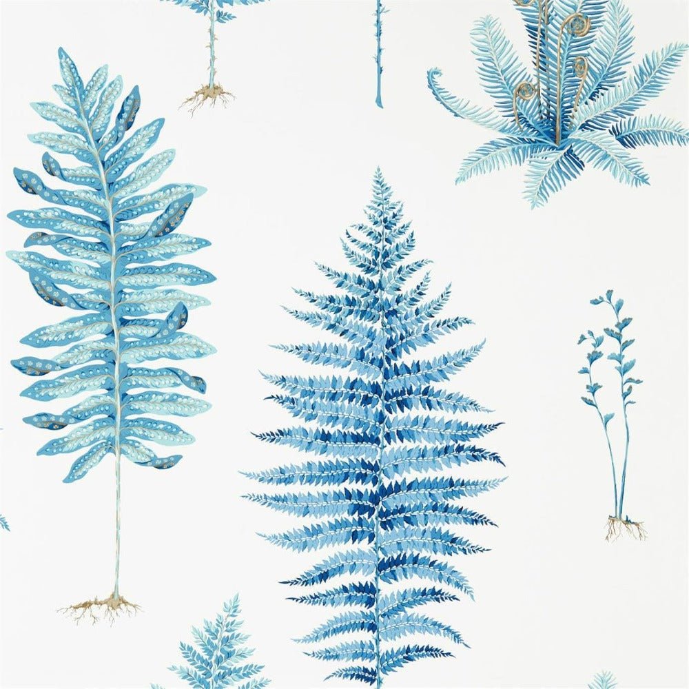 Sanderson Fernery Wallpaper 3 Colours - Gaudion Furniture
