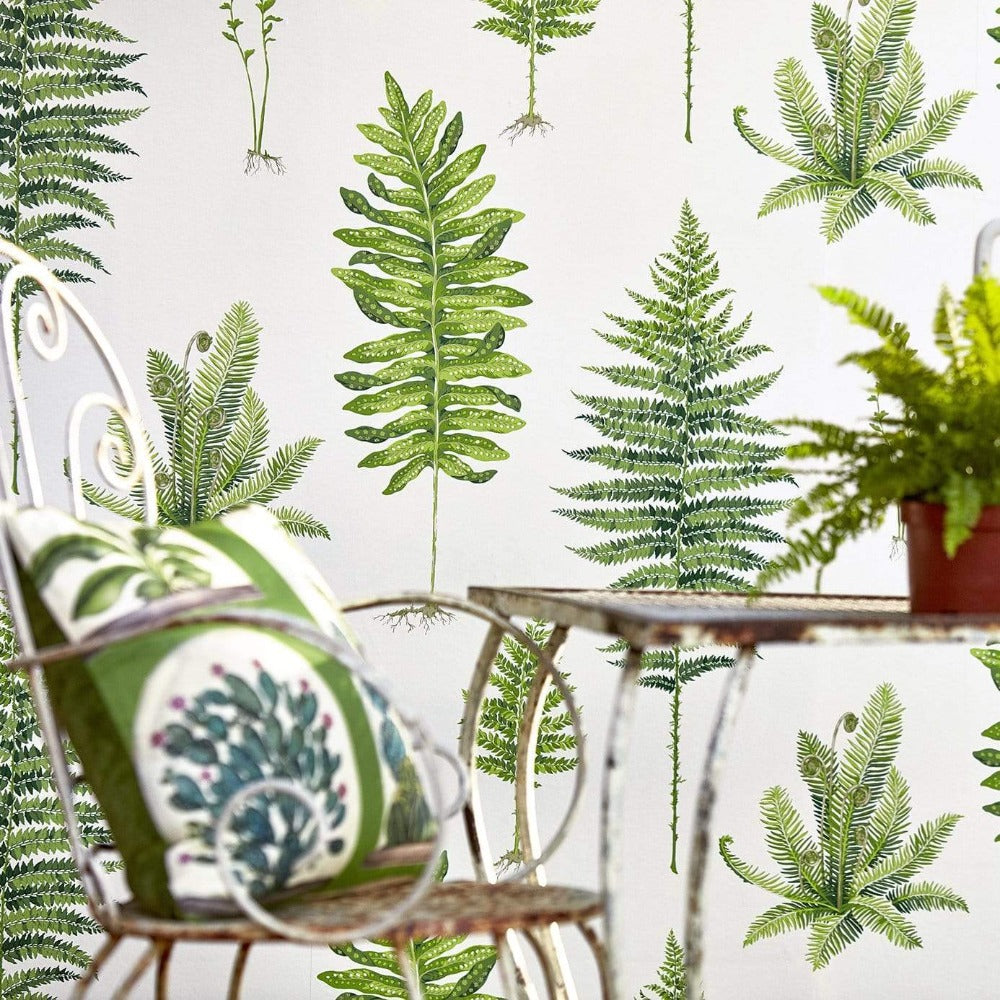 Sanderson wallpaper Sanderson Fernery Wallpaper 2 Colours