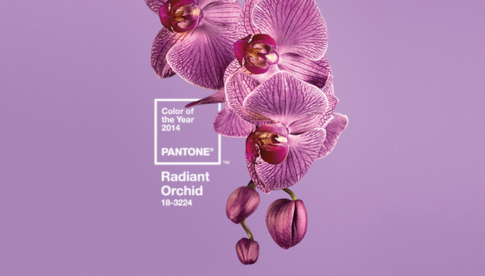 Pantone Colour of the Year - Radiant Orchid