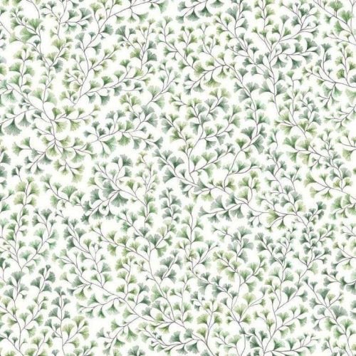 Cole & Son Botanical Botanica Maidenhair Wallpaper 4 Colours