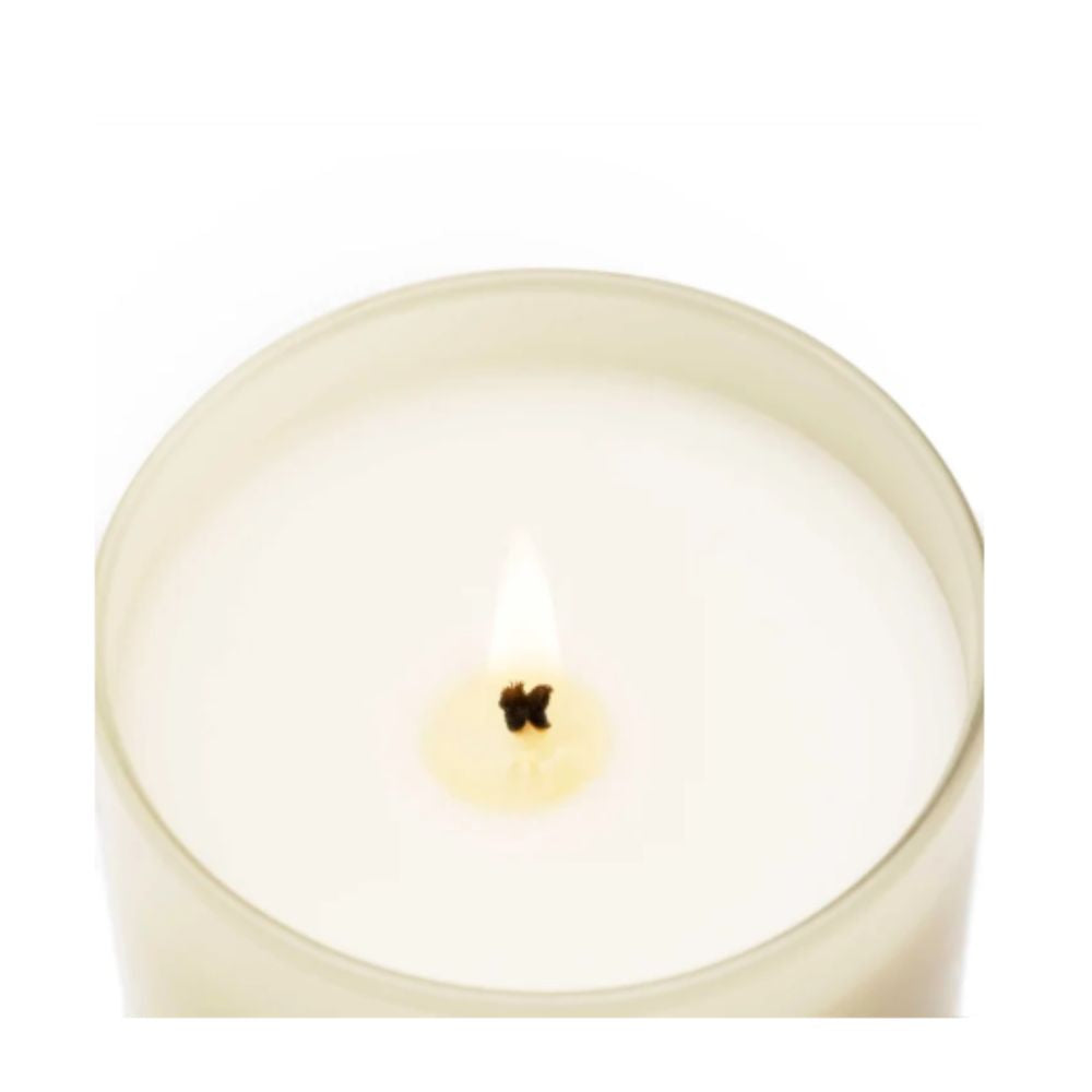 Black Orchid & Lily 230g Candle Cereria Molla 1899