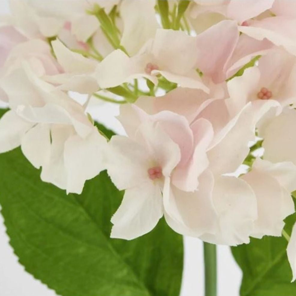 Hydrangea Soft Touch Pink 50cm