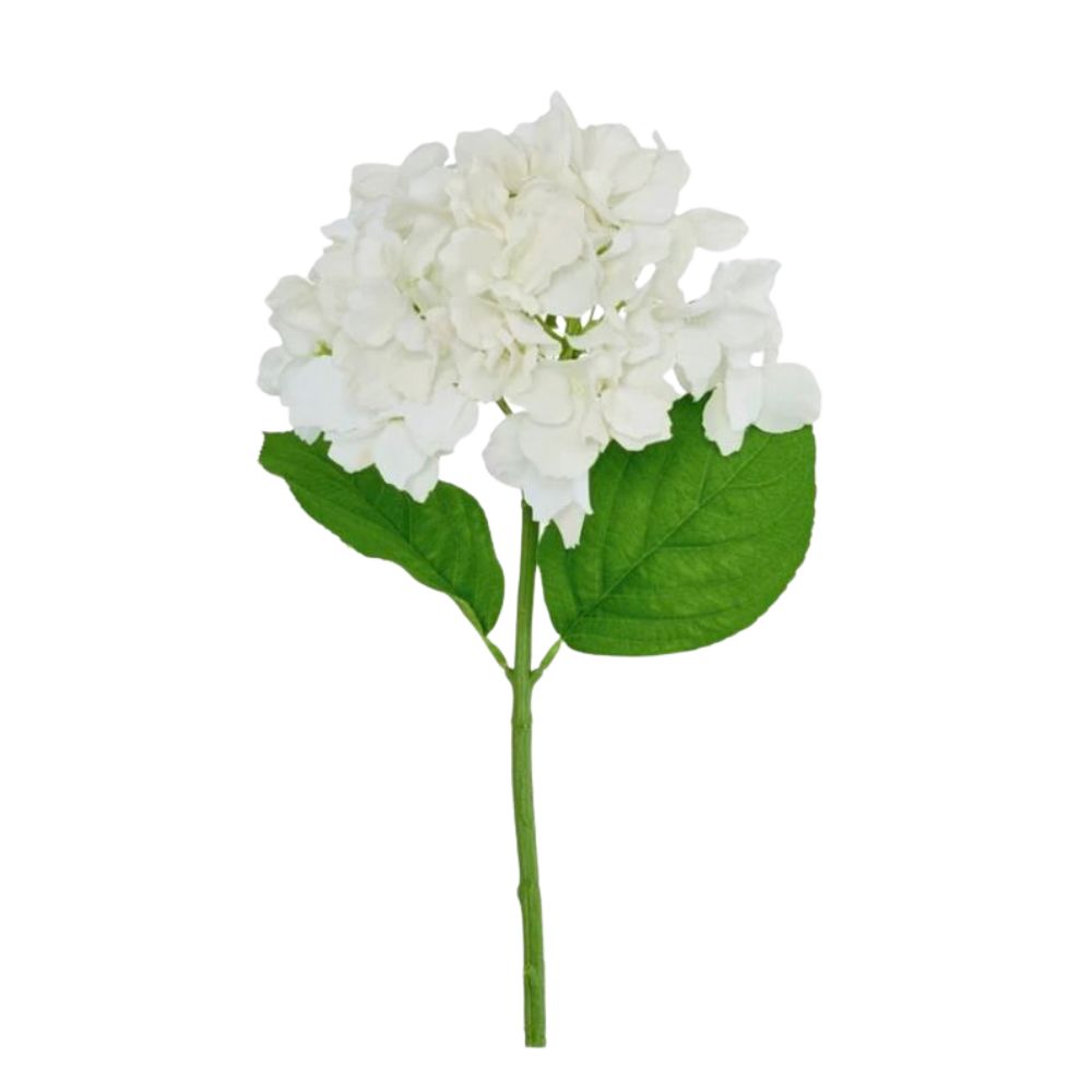 Hydrangea Soft Touch White 50cm