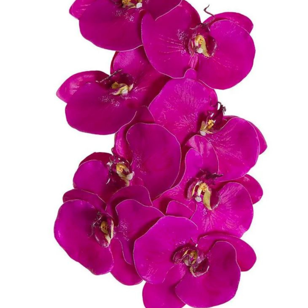 Orchid Phalaenopsis Spray Mauve