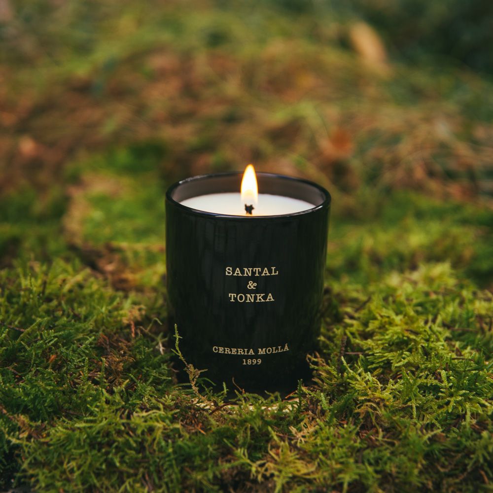 Santal & Tonka 230g Candle Cereria Molla 1899