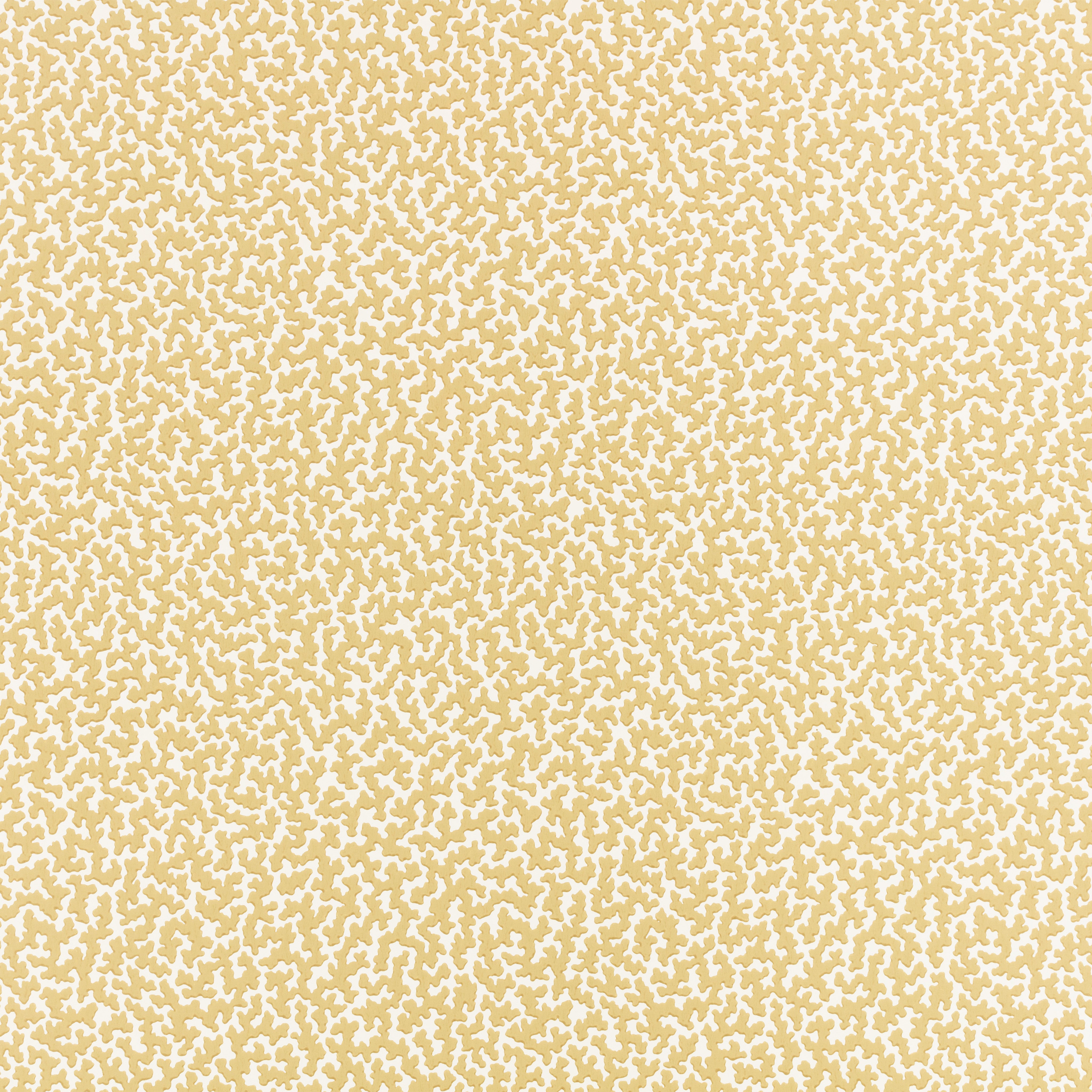Junie wallpaper by romo, gaudion furniture