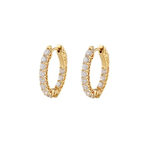 Bianc EARRINGS Earrings Halo Gold Sm