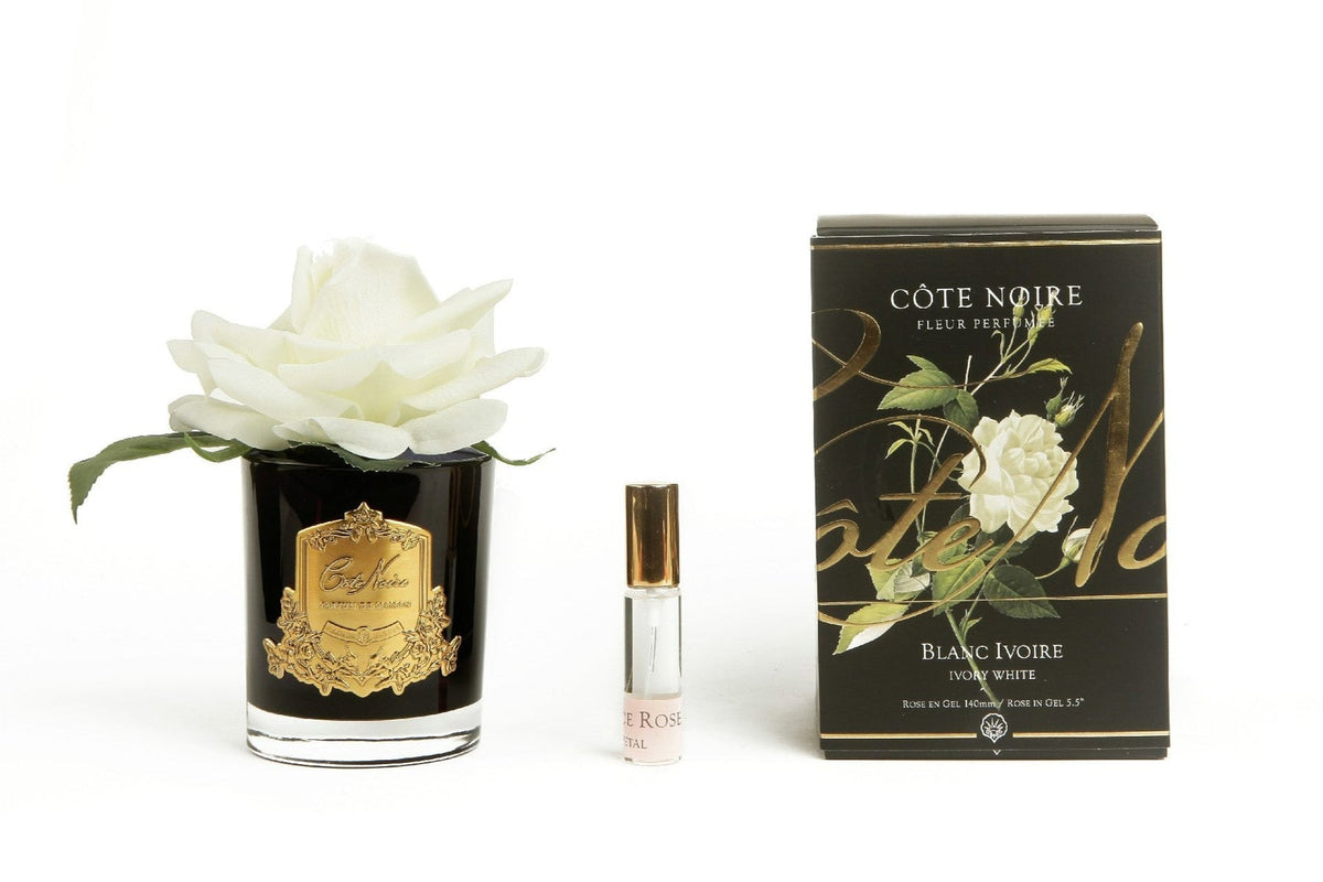 Cote Noire Single Perfumed Rose Ivory in Black Vase - Gaudion Furniture