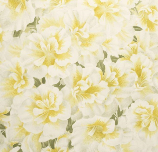 John Derian Variegated Azalea Wallpaper - 2 Colours
