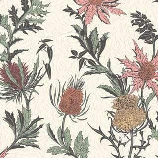 Cole & Son Botanical Botanica Thistle Wallpaper 3 colours