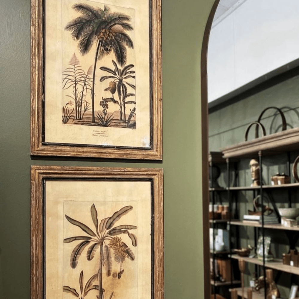 Gaudion Furniture 9 Print Botanical Palm Series Prints