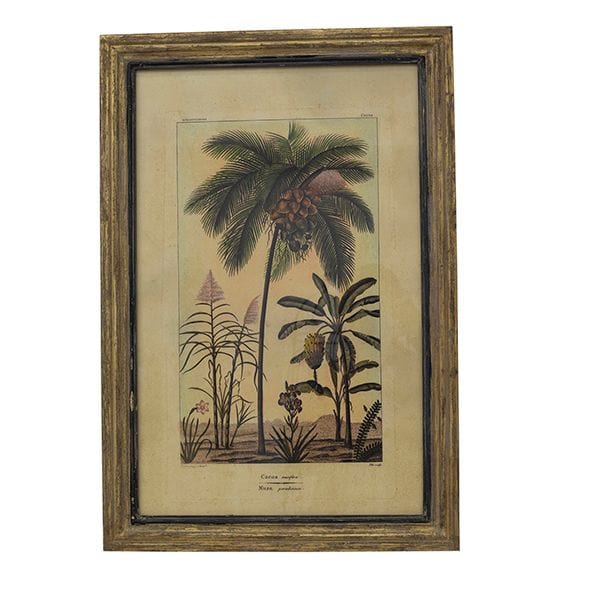 Gaudion Furniture 9 Print Botanical Palm Series Prints