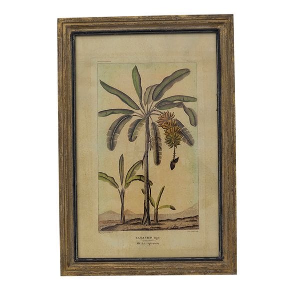 Gaudion Furniture 9 Print Botanical Palm Series Prints