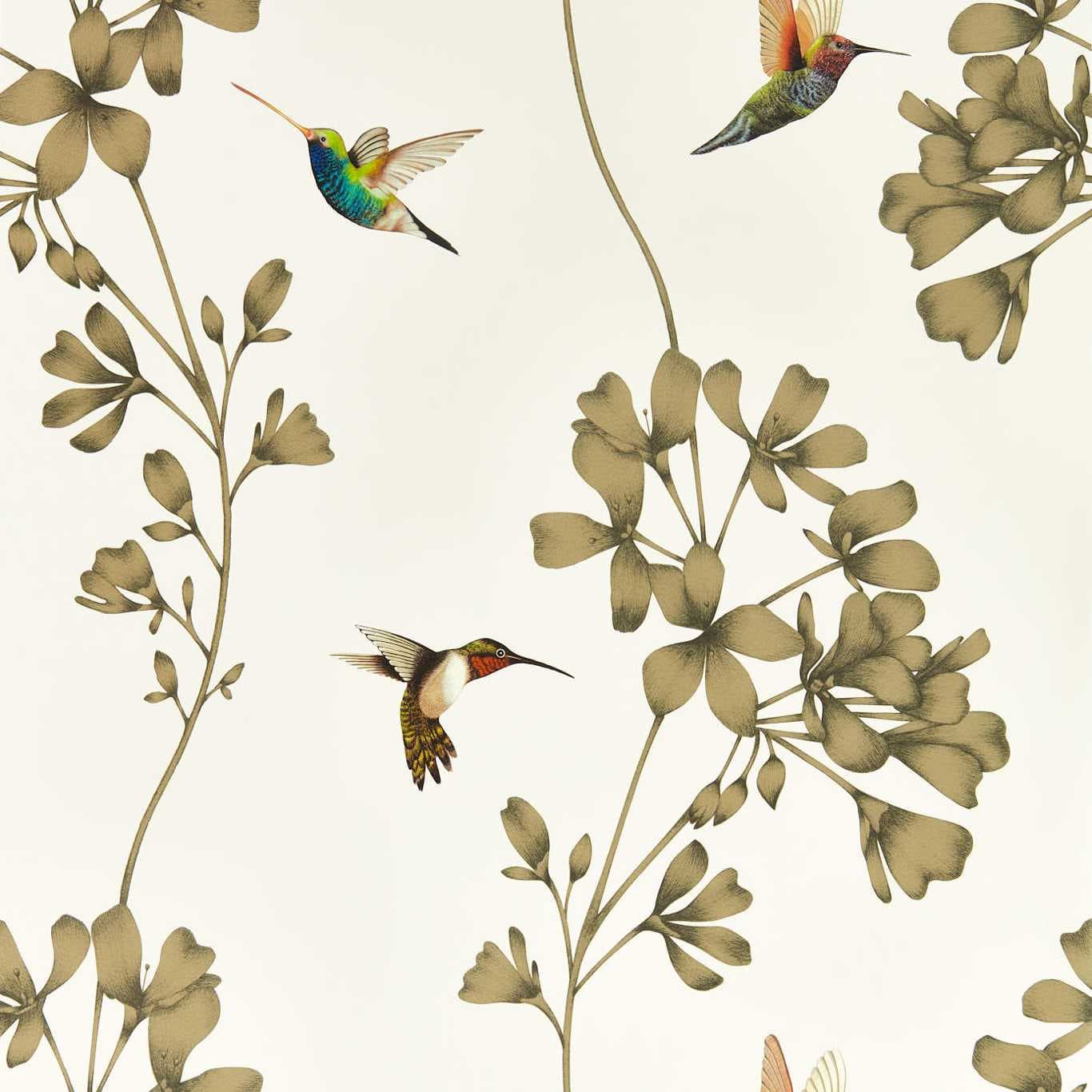 Harlequin Wallpaper Harlequin Amazilia Wallpaper 6 Colours