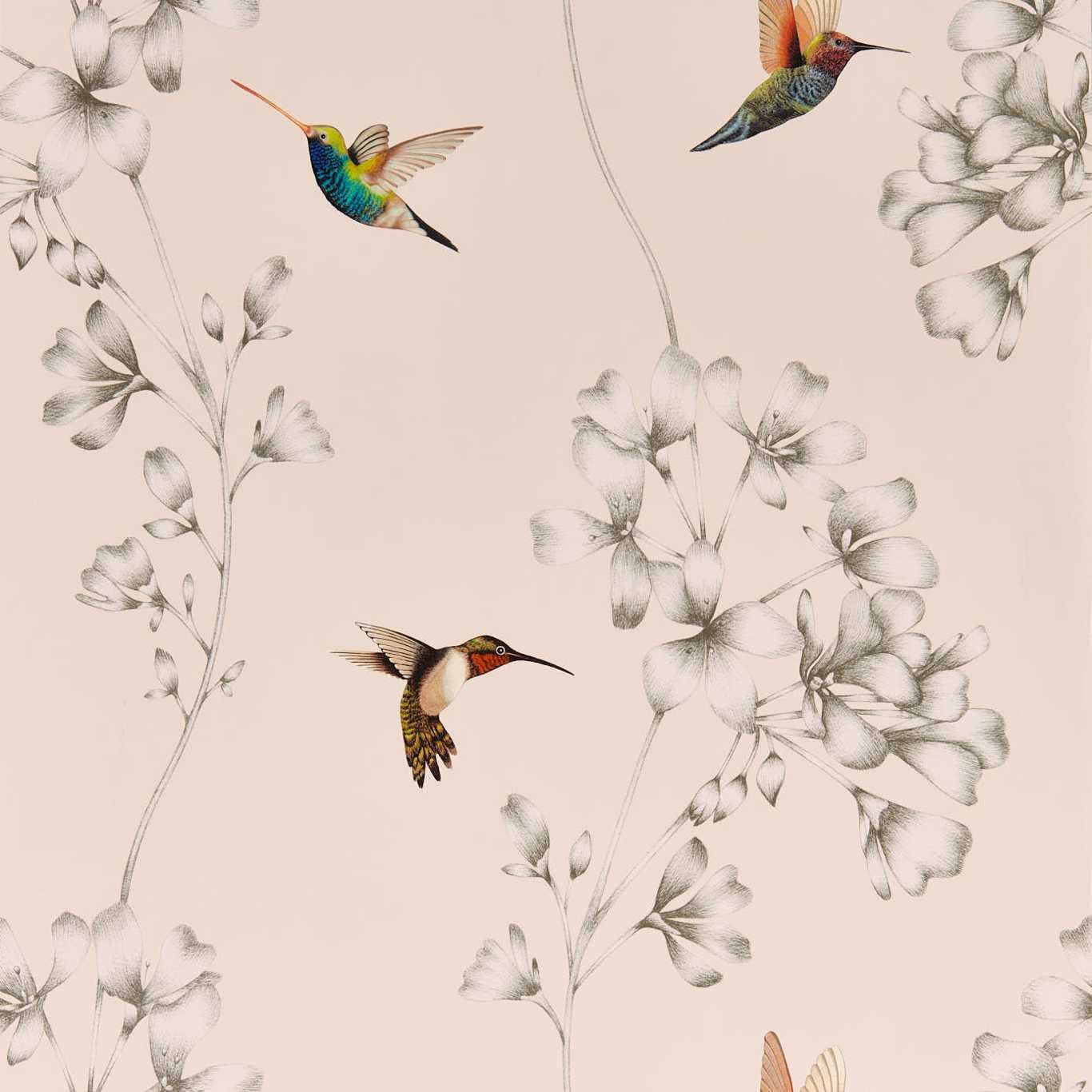 Harlequin Wallpaper Harlequin Amazilia Wallpaper 6 Colours