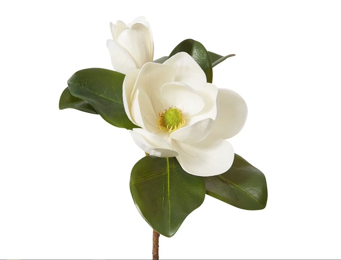 Magnolia Flower - Gaudion Furniture