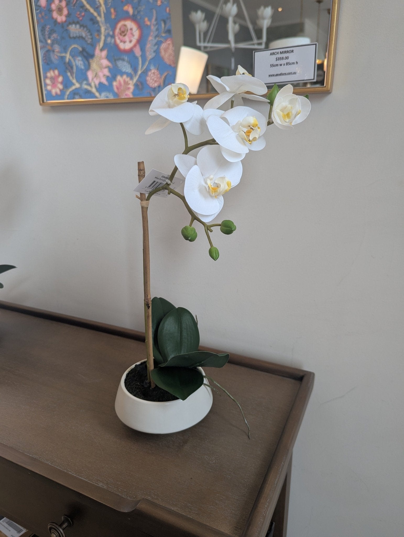 Orchid in White Pot Small - Gaudion Furniture