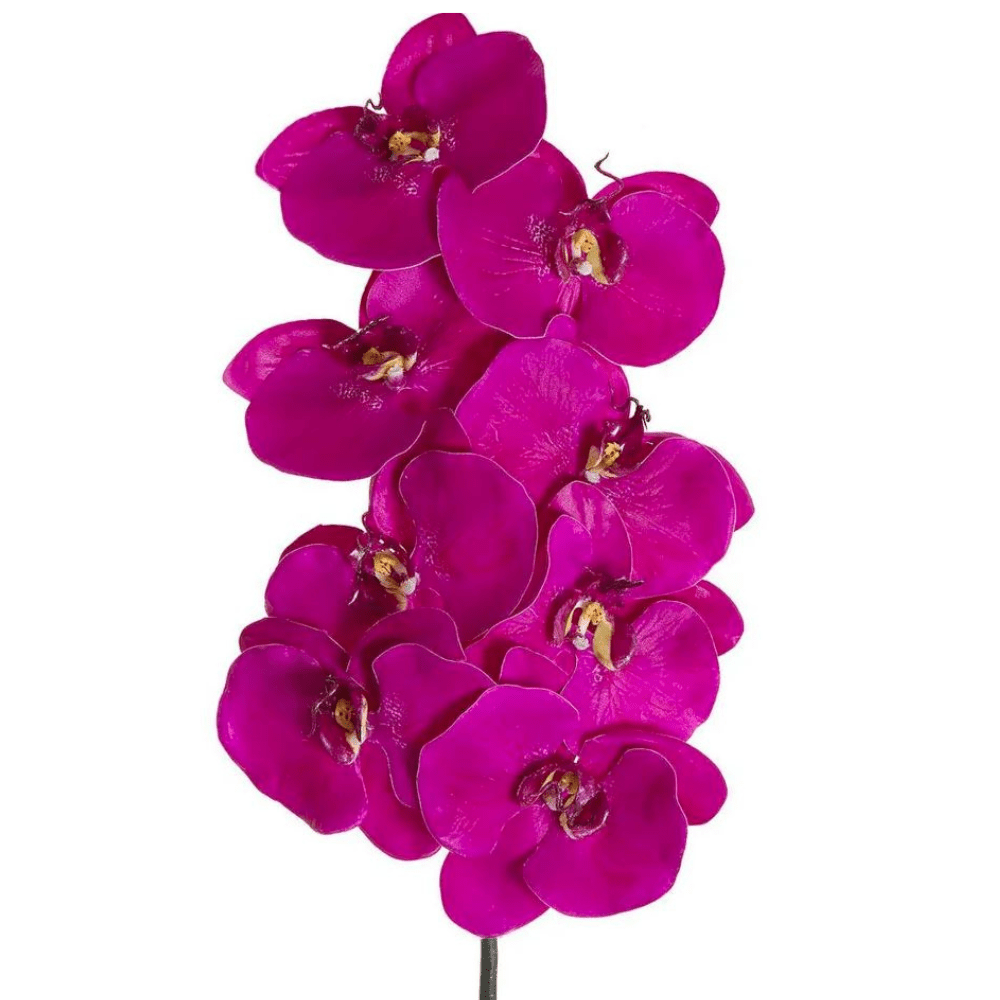 Orchid Phalaenopsis Spray Mauve - Gaudion Furniture
