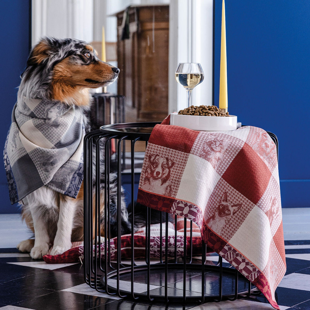 Tea Towel Truffles Cats & Dogs Brown - Gaudion Furniture