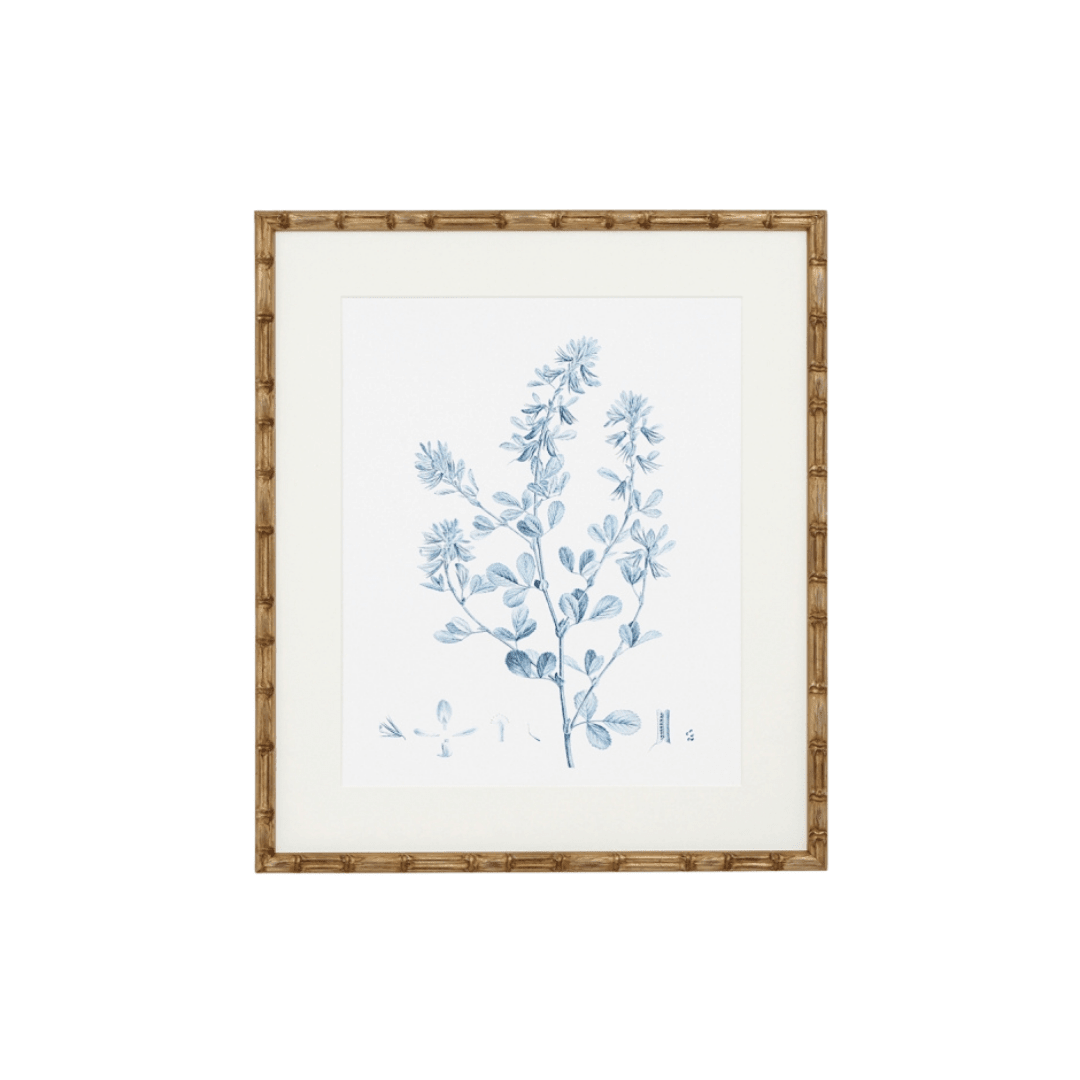 Blue Botanical Print III - Gaudion Furniture