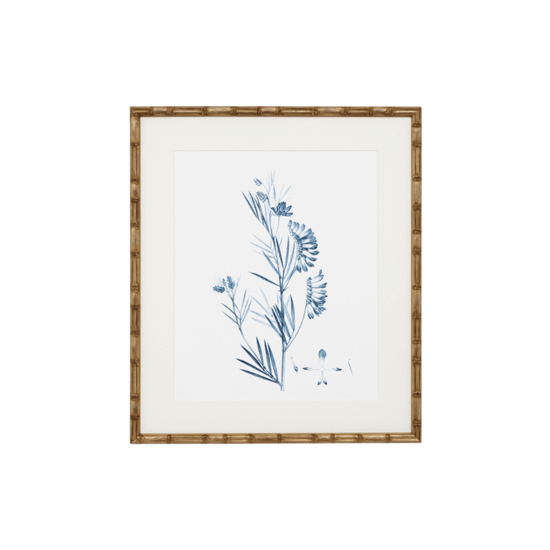 Blue Botanical Print IV - Gaudion Furniture