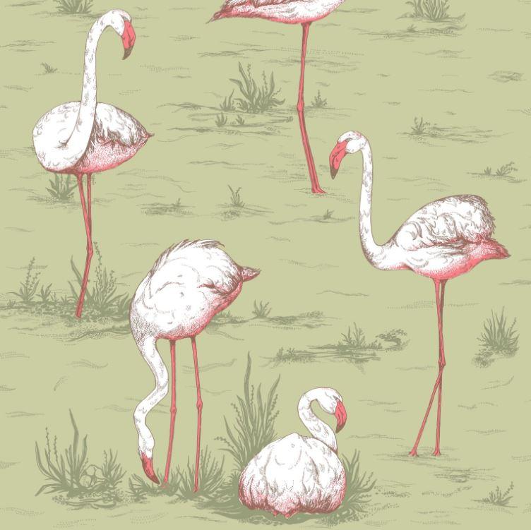 Cole and Son Wallpaper 1 x 112 11038 Flamingos Wallpaper Roll Cole & Son Flamingos Wallpaper
