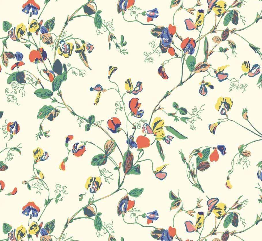 Sweet Pea 115/11032 Wallpaper Cole and Son Botanical Botanica Sweet Pea Wallpaper 6 colours