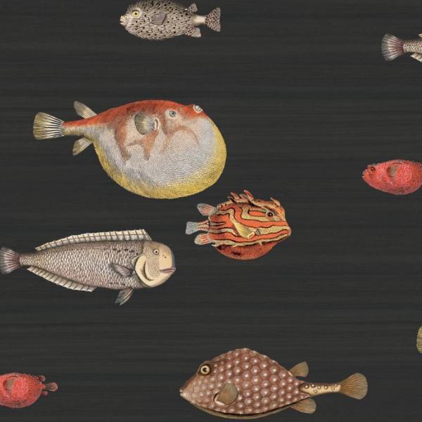 Cole and Son Soot Acquario Wallpaper Roll Cole and Son Fornasetti Acquario Wallpaper 5 Colours