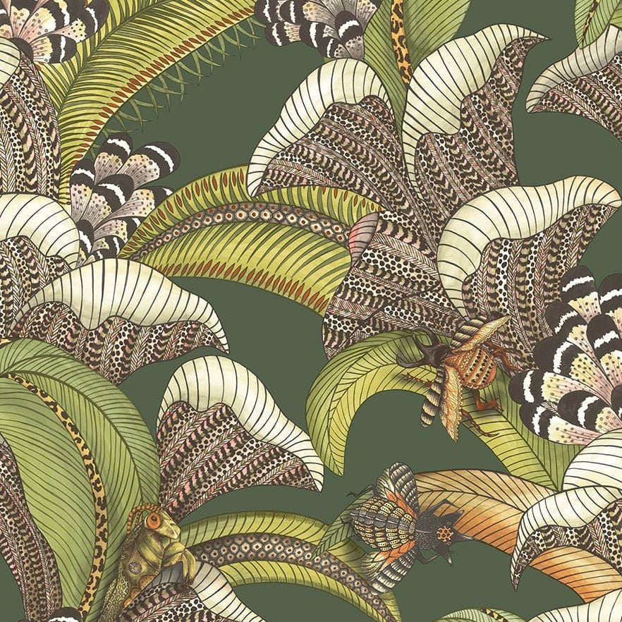 Cole & Son Ardmore Jabula Hoopoe Leaves Wallpaper 7 Colours - Gaudion Furniture