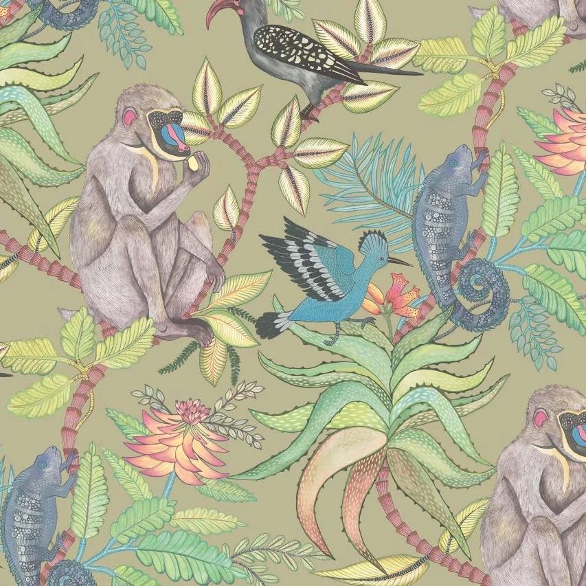 Cole & Son Ardmore Savuti Wallpaper 6 Colours - Gaudion Furniture